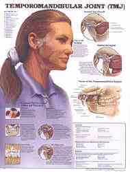 Visually stimulating chart explores TMJ