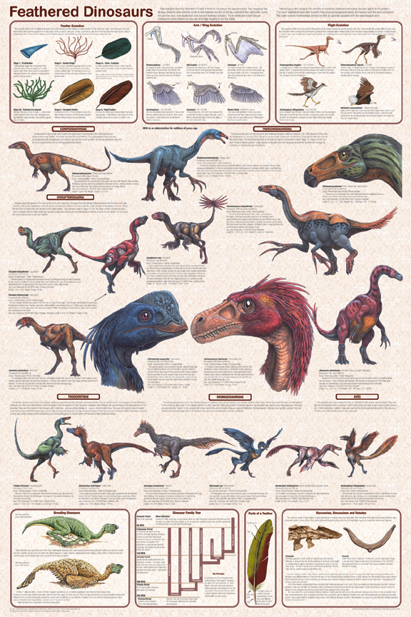 Dinosaur Chart With Names